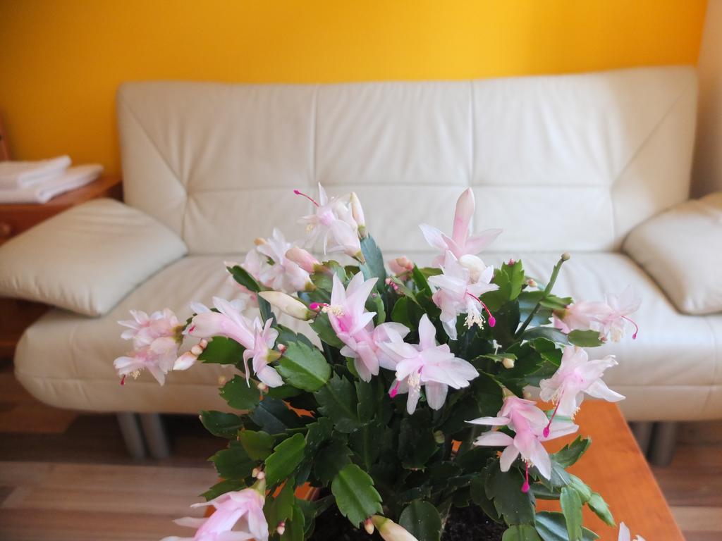 Leopoldauer Apartment Вена Экстерьер фото